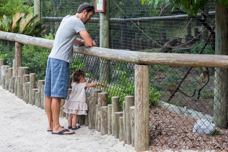 V ZOO Ljubljana se veselijo novih mladičkov (foto: Profimedia)