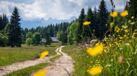 Kaj več kot 60 ukrajinskih športnikov, ki so pobegnili pred vojno, počne na Pokljuki?