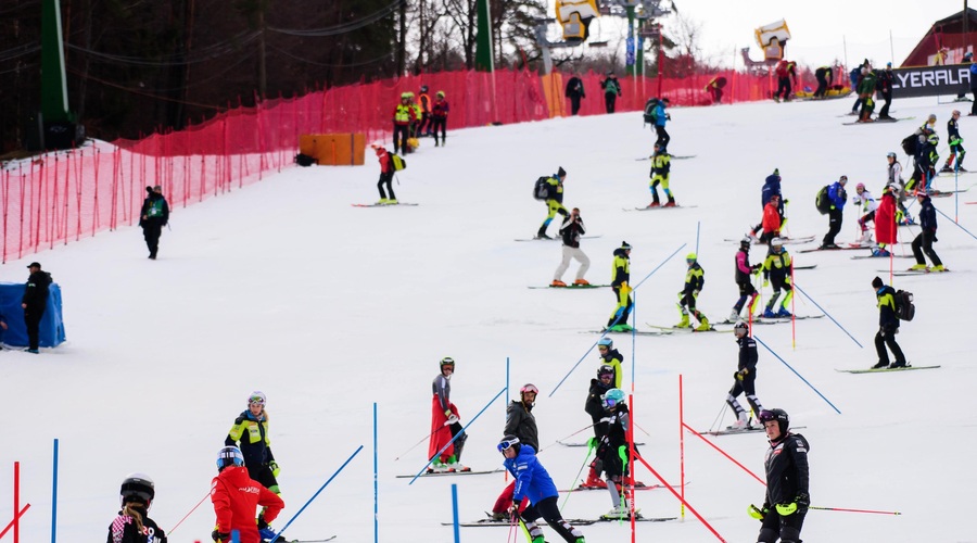 Kaj se dogaja z Zlato lisico? Njena prihodnost negotova (foto: Profimedia)