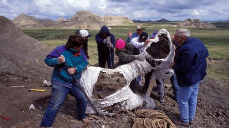 Kdo je bil 'Zmaj smrti', ki so ga paleontologi odkrili v Argentini?