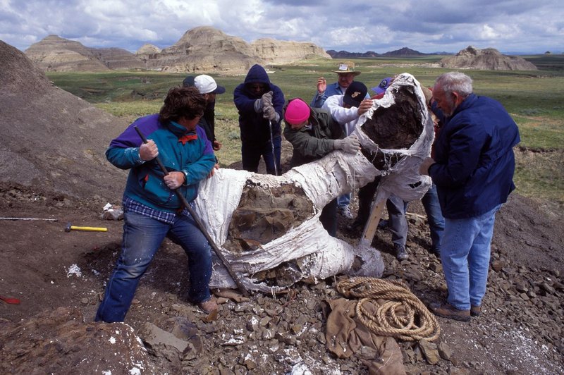 Kdo je bil 'Zmaj smrti', ki so ga paleontologi odkrili v Argentini? (foto: Profimedia)