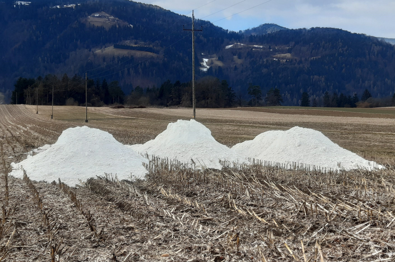 Afera sadra: osumljeni dve slovenski podjetji! Grozi jim do 12 let zapora! (foto: PU Celje/STA)