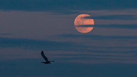 Kaj nam prinaša današnja močna super POLNA LUNA?