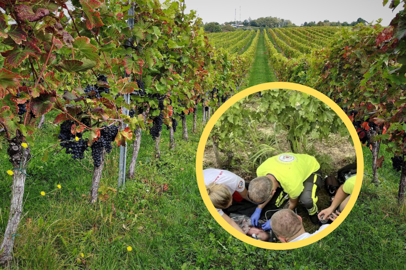 Pri sosedih v popolnem šoku: Hrvatica zapustila novorojenčka v vinogradu na Madžarskem (foto: Bobo/startnews.hr/fotomontaža)