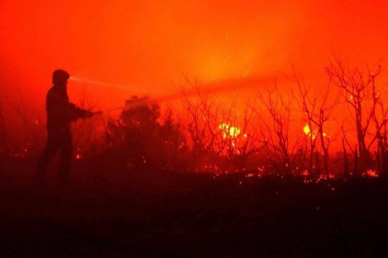 Istra gori: obsežen požar gasi 86 gasilcev (foto: Hrvatska danas)