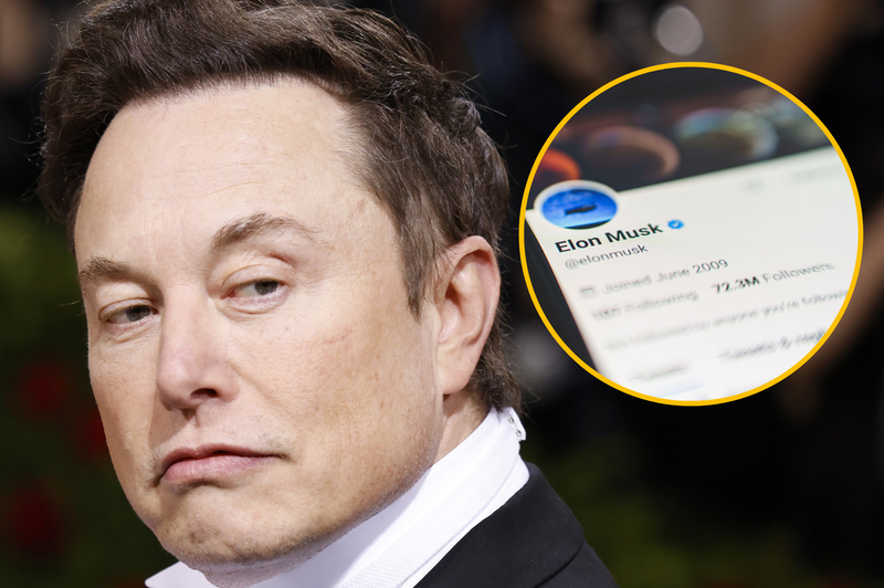 RAZKRIVAMO razlog in posledice: Musk odstopil od prevzema Twitterja (foto: Profimedia/fotomontaža)