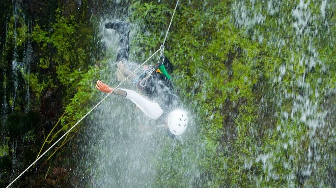 Fotografija je simbolična. (foto: Profimedia)