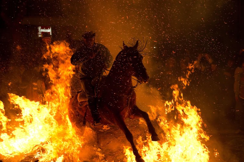 Izredne razmere v južni Evropi: kje je zaradi hude vročine umrlo največ ljudi? (foto: Profimedia)