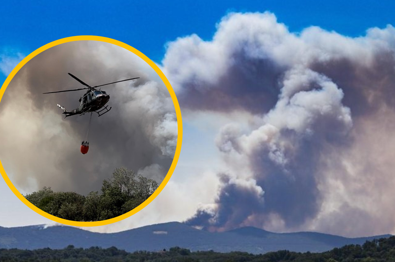 Požar na Krasu pod nadzorom, a nevarnost še vedno preti (foto: Leo Caharija/Twitter/Noocko/fotomontaža)