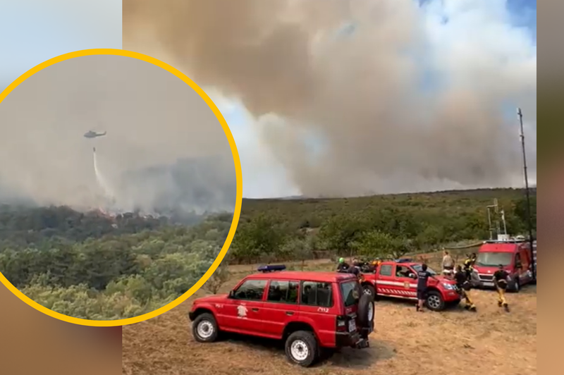 V boj s požarom na Krasu skoraj 500 gasilcev, na pomoč tudi helikopterji iz Italije (foto: Posnetek zaslona/Twitter/Noocko/fotomontaža)