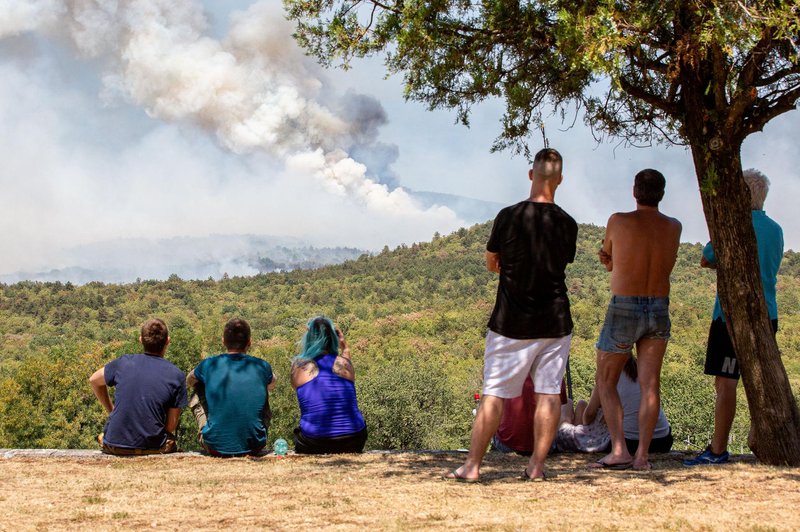 FOTO: To so nove informacije o požaru na Krasu (foto: Jasmina Putnik)