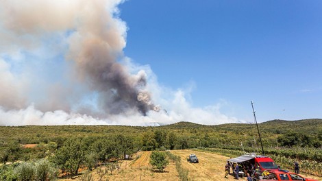 Ni še konec: Kras ponovno gori, prekinjen je cestni in železniški promet