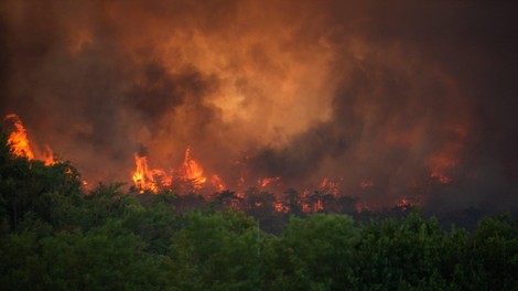 Najnovejše informacije o požaru na Krasu: 1000 gasilcev, na pomoč italijanski in hrvaški canadair ...