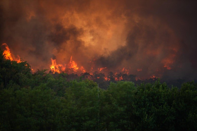 Najnovejše informacije o požaru na Krasu: 1000 gasilcev, na pomoč italijanski in hrvaški canadair ... (foto: Facebook/Mitja Ambrozelj)