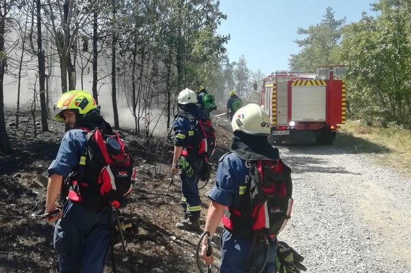 Novi požari na Goriškem prišli z italijanske strani (foto: Facebook/Gasilska enota Nova Gorica)