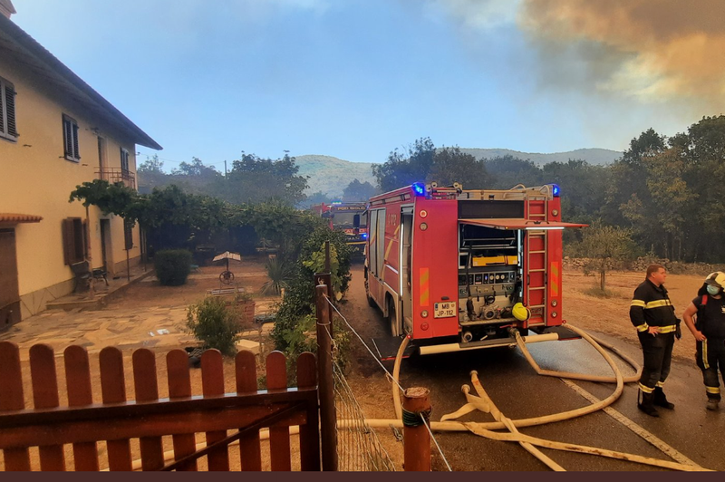 Požar na Krasu le še nekaj metrov od hiš: "Držite pesti, družino so že evakuirali" (foto: Twitter/Istrianer)