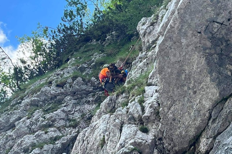 Z gora nas požrtvovalno rešujejo že stoletje. To je njihova zgodba (foto: Facebook Društvo Gorska reševalna služba Kamnik)