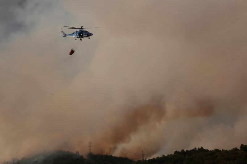 Katere države so priskočile na pomoč našim gasilcem na Krasu? (foto: Bobo)