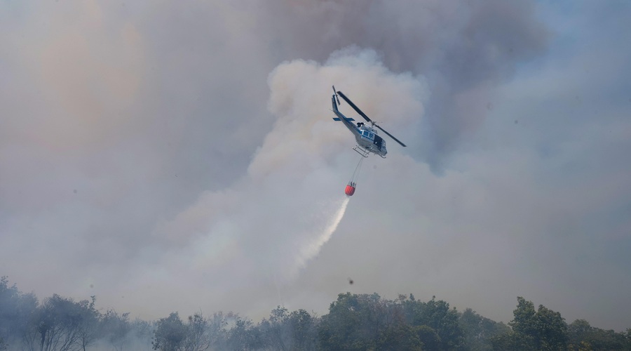 To so najnovejše informacije o požaru na Krasu (foto: Bobo)