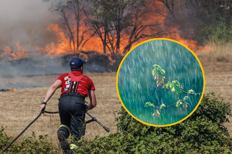 Se bo končno ohladilo? Svet v primežu plamenov, vsi komaj čakajo na dež (foto: Profimedia/fotomontaža)