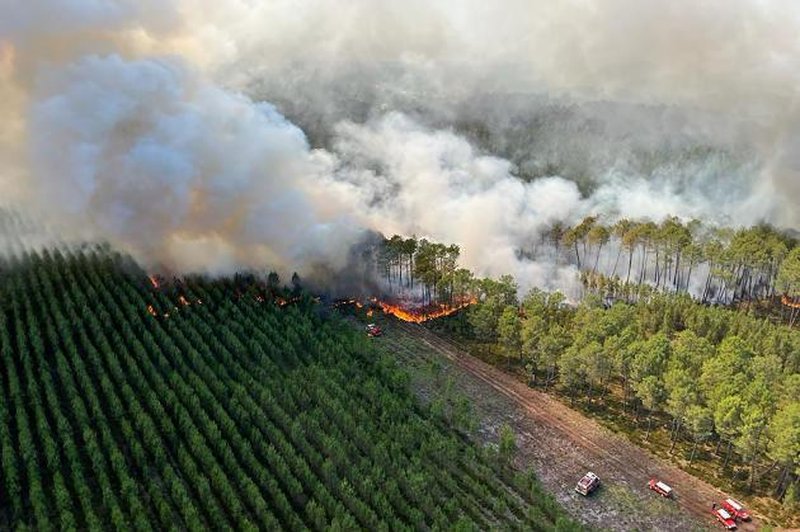 So bili požari zares podtaknjeni? (foto: Twitter/posnetek zaslona)