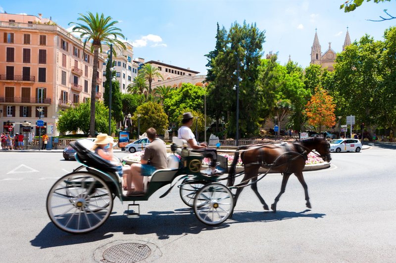 Konj se je od vročine sesedel, reakcija turistov pa naravnost žalostna (foto: Profimedia)