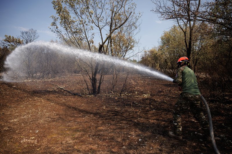 Gasilci na Krasu vso noč v polni pripravljenosti: tokrat so novice o požarih bolj pomirjujoče (foto: Luka Dakskobler/Bobo)