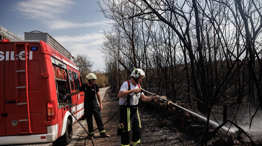 Znano je, koliko denarja je vlada namenila organizacijam za gašenje požara na Krasu (foto: Luka Dakskobler/Bobo)