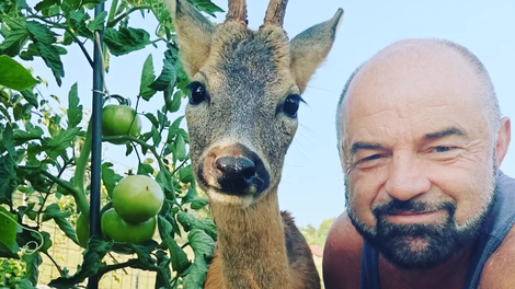 RAZKRIVAMO: srnjak Miško je nastopal v resničnostni oddaji Kmetija!