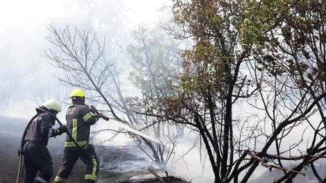 Mega požar na Krasu je tudi uradno pogašen. Kako naprej?