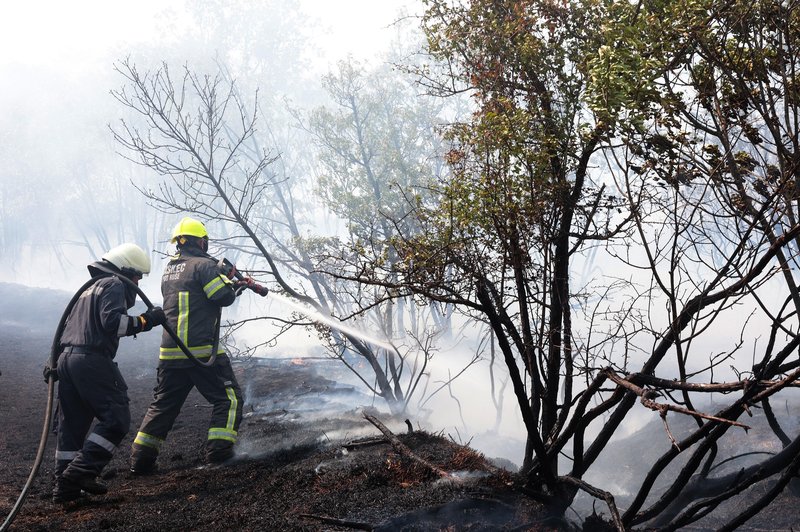 Mega požar na Krasu je tudi uradno pogašen. Kako naprej? (foto: Bobo)