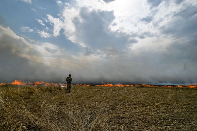 Pridelek v Ukrajini bo prepolovljen: pred nami globalna prehranska kriza? (foto: Profimedia)