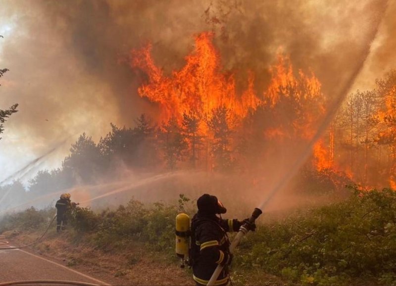 Na Krasu najden zapis domnevnega požigalca: kaj je res? (foto: Twitter/BN)