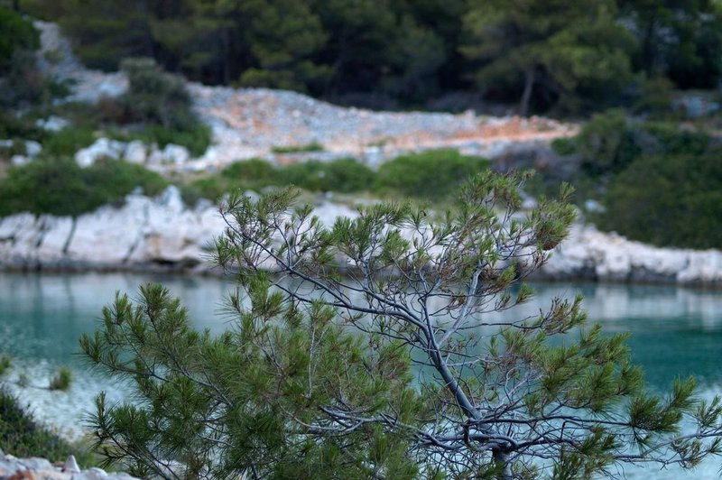 Fotografija je simbolična. (foto: Profimedia)