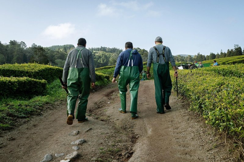 Podjetja izkoriščajo krizo in mastno služijo na hrbtih revnih (foto: Profimedia)