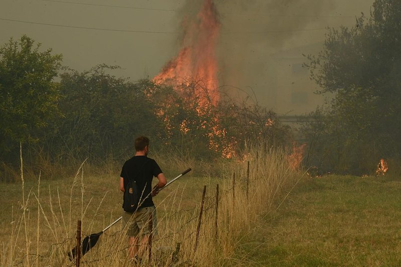 Fotografija je simbolična. (foto: Profimedia)