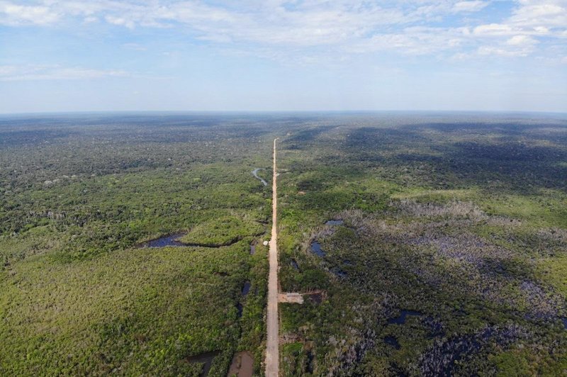 Saj ni res, pa je: skozi amazonski pragozd se boste lahko peljali po avtocesti (foto: Twitter CicloVivo)