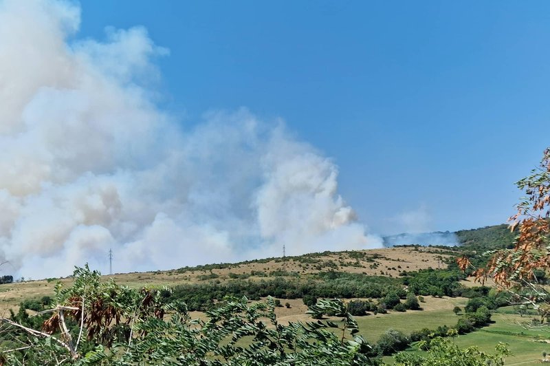 Spet gori, domačini zaskrbljeni: požar pod Socerbom se hitro širi (imamo fotografije naših bralcev) (foto: Uredništvo)