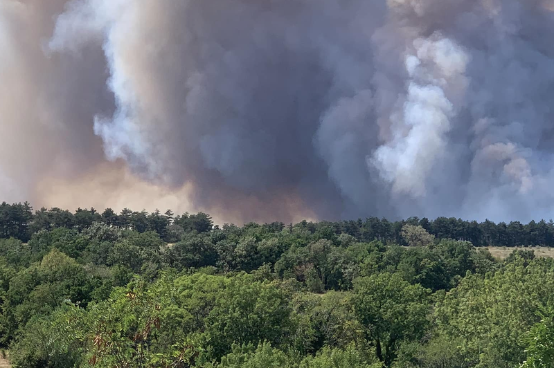 Požar pod Socerbom: sprožena ni nobena evakuacija, drugače je na italijanski strani meje (foto: Facebook/Radio Capris)