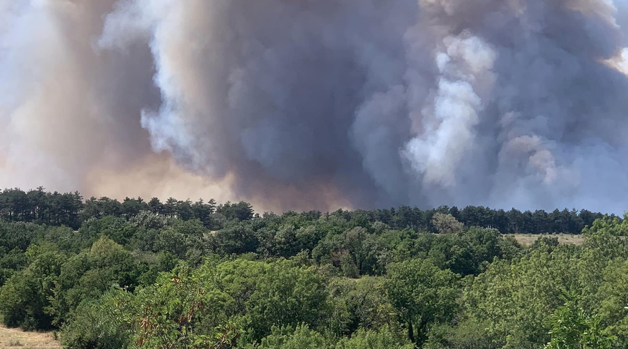 Požar pod Socerbom: sprožena ni nobena evakuacija, drugače je na italijanski strani meje (foto: Facebook/Radio Capris)