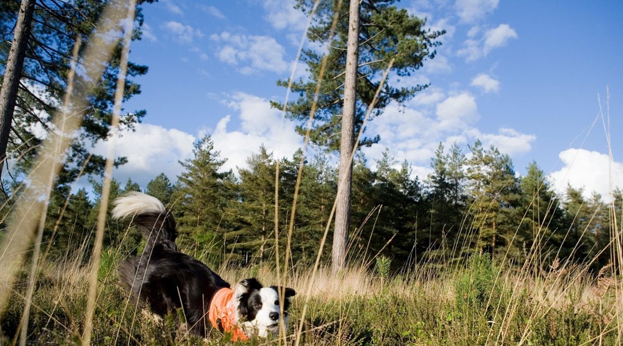 Fotografija je simbolična (foto: Profimedia)