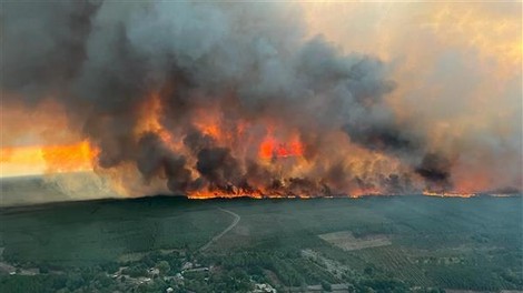 Gori najbolj znana vinska regija na svetu. Kako dolgo se nam bo narava še maščevala?