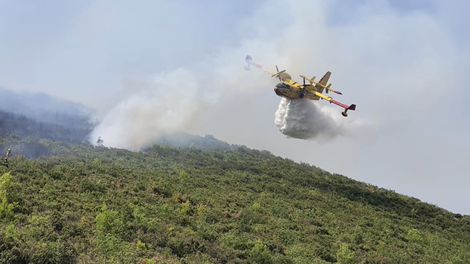 Novi požari na Hrvaškem, gašenje otežuje močan veter