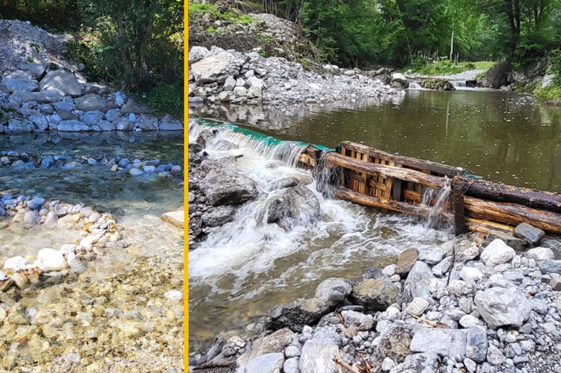 Osvežitev v reki? Ribiška družina OPOZARJA, da s svojimi dejanji ogrožate življenja rib (foto: Facebook/Ribiška družina Tolmin/fotomontaža)