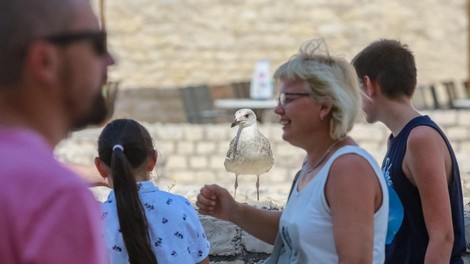 Je na Hrvaško od začetka vojne prispelo več Rusov ali Ukrajincev?