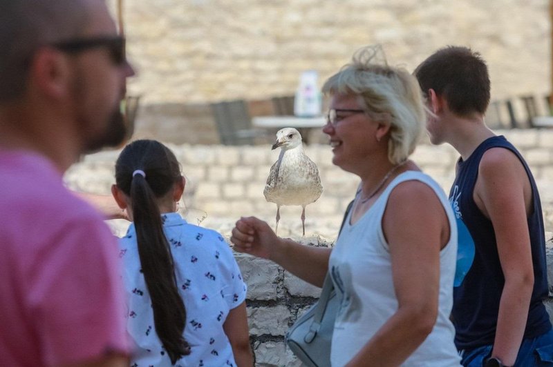 Je na Hrvaško od začetka vojne prispelo več Rusov ali Ukrajincev? (foto: Profomedia)