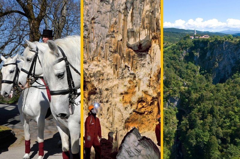 Koliko stane obisk najdražjih slovenskih turističnih znamenitosti? Preverili smo, ali si povprečna družina sploh še lahko privošči izlet (foto: Profimedia/Bobo/fotomontaža)