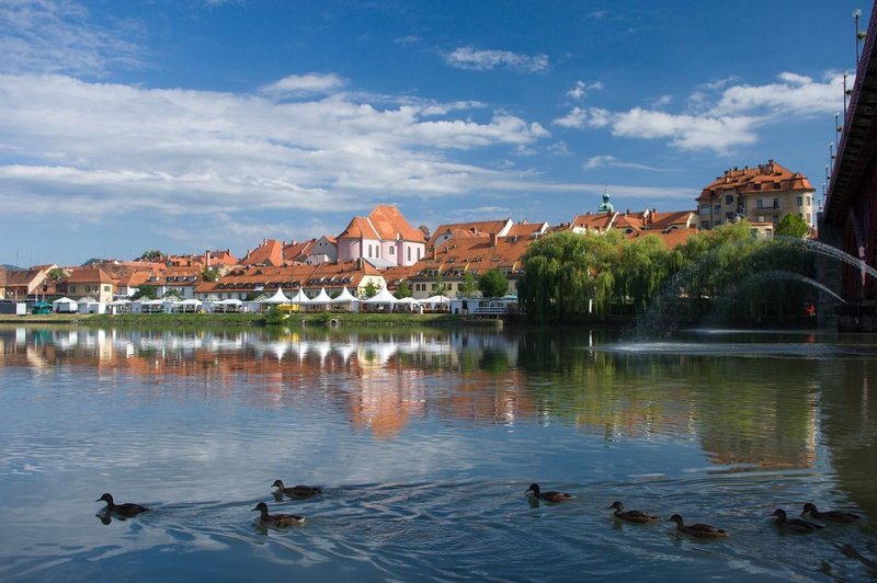 Mariborčani so dobili nova najemna stanovanja, kdo bo imel prednost pri nakupu? (foto: Profimedia)