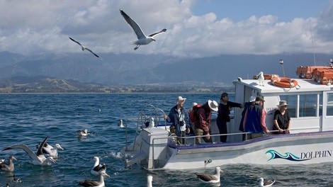 Med opazovanjem ptic umrlo 5 turistov – kdo je prevrnil ladjo?