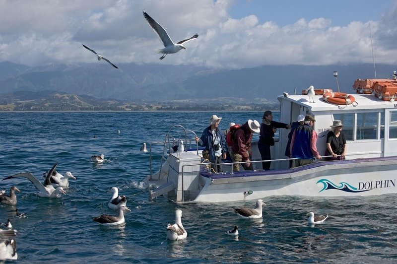 Med opazovanjem ptic umrlo 5 turistov – kdo je prevrnil ladjo? (foto: Profimedia)